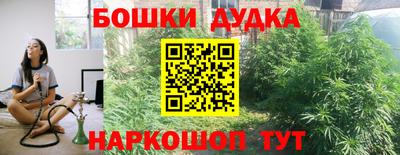 прущие крисы Будённовск