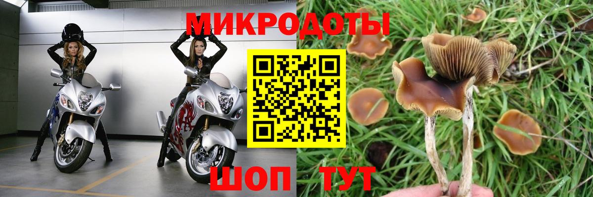 Советск  Галлюциногенные грибы ЛСД  Галлюциногенные грибы MAGIC MUSHROOMS  Вход с VPN 